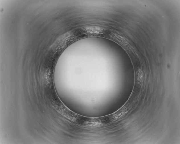 X0000060800559200511141443