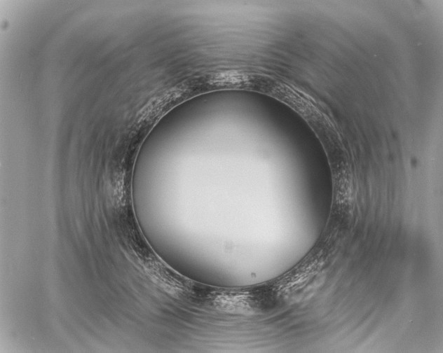 X0000060800560200511141443