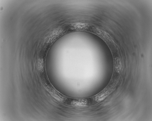 X0000060800563200511141443