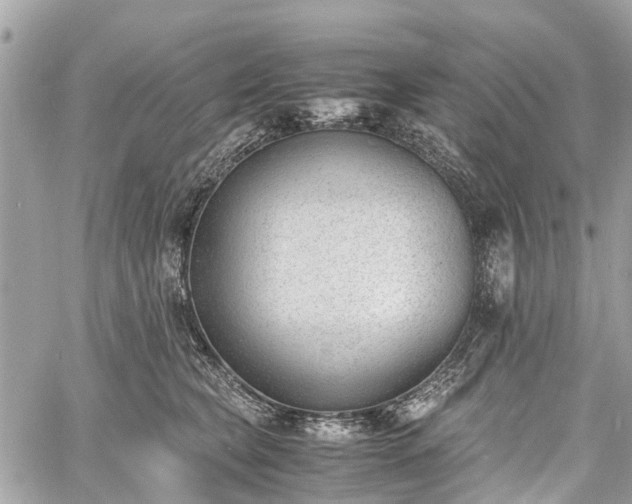 X0000060800565200511141443