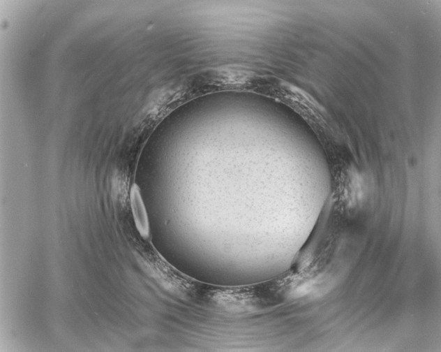 X0000060800568200511141443