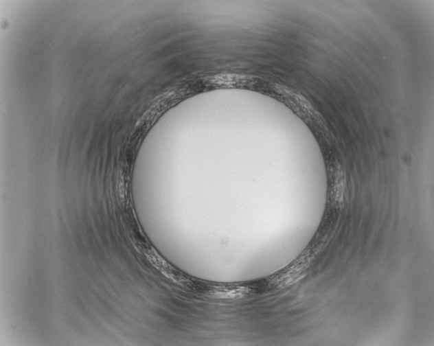 X0000060800569200511141443