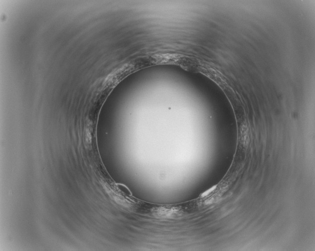 X0000060800570200511141443