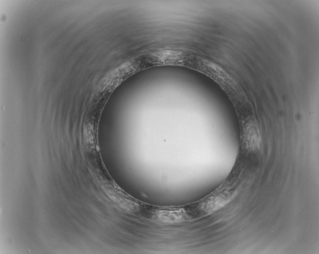 X0000060800571200511141443