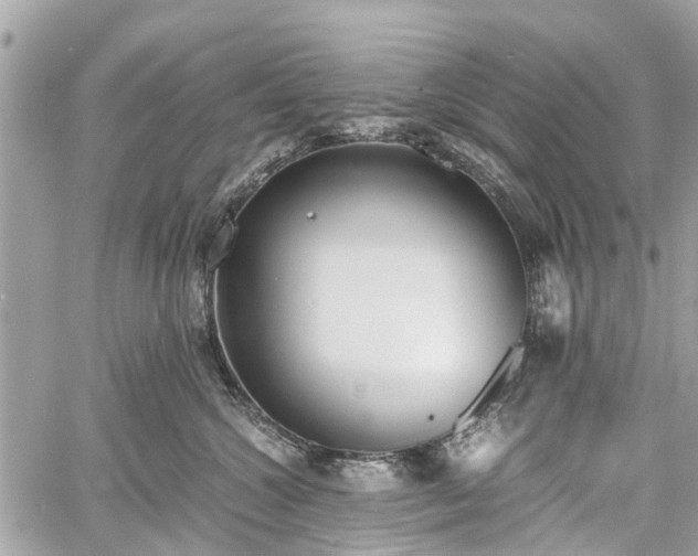 X0000060800572200511141443