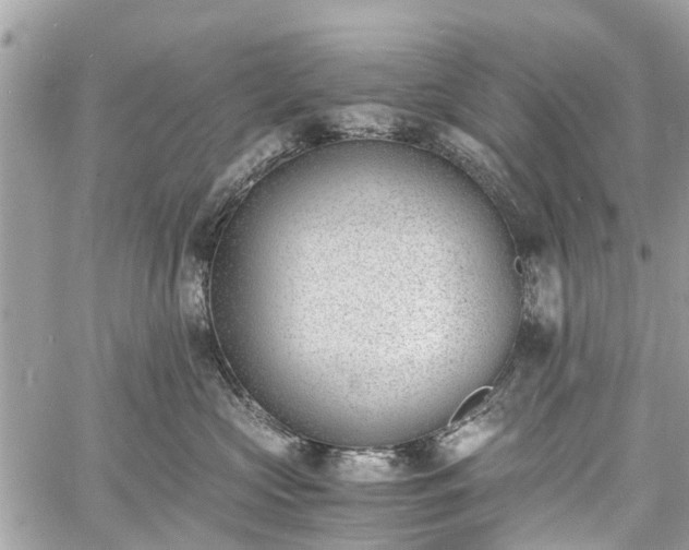 X0000060800573200511141443