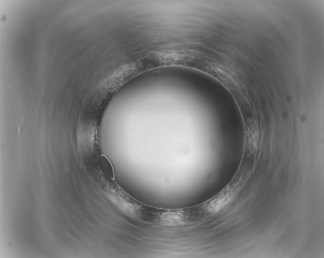 X0000060800574200511141443