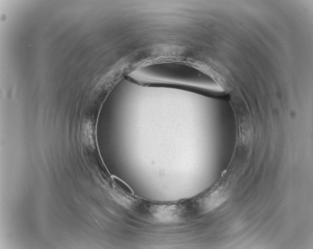 X0000060800575200511141443