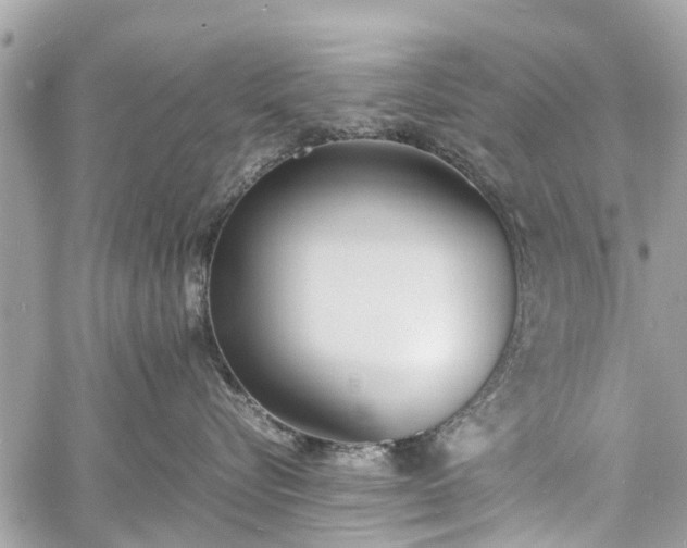 X0000060800576200511141443