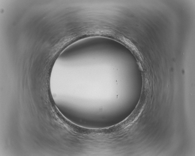 X0000060800577200511141442