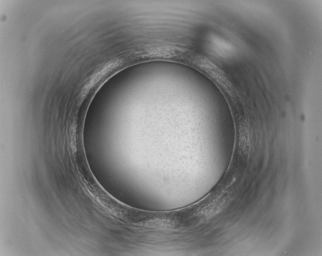 X0000060800578200511141442