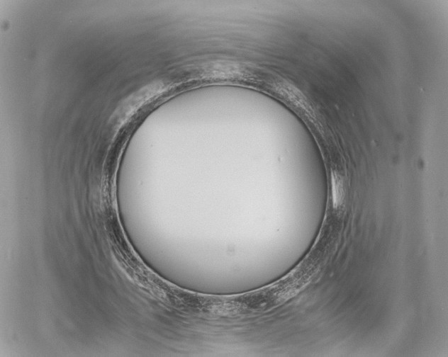 X0000060800579200511141442