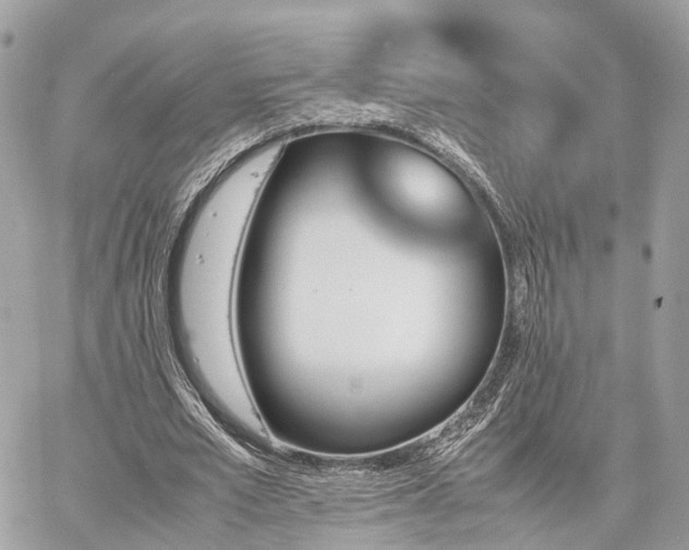 X0000060800581200511141442