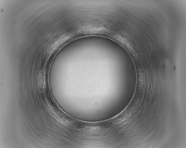 X0000060800582200511141442