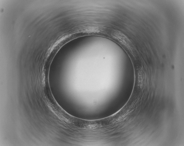 X0000060800584200511141442