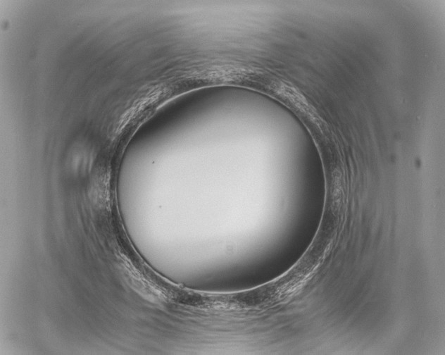 X0000060800585200511141442