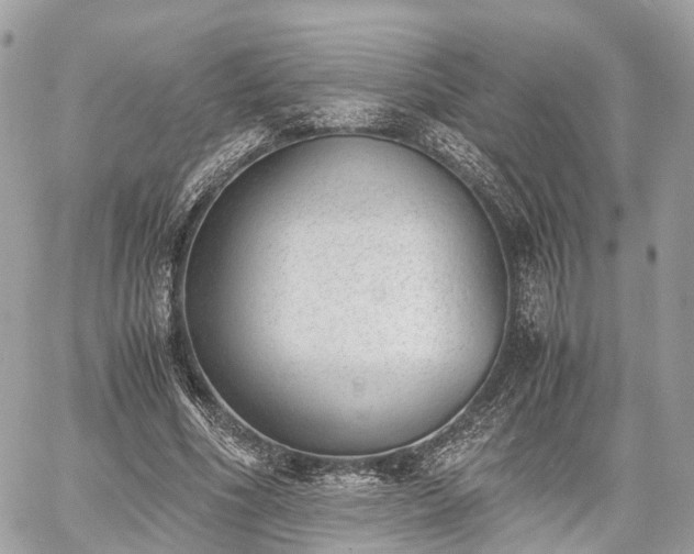 X0000060800586200511141442