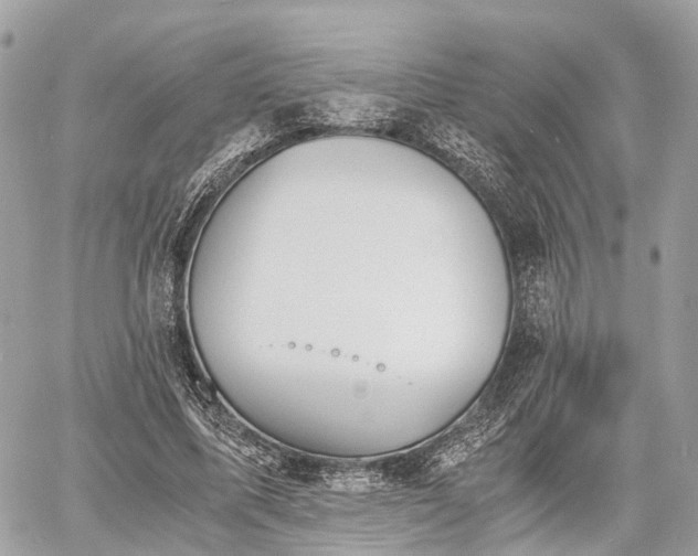 X0000060800587200511141442