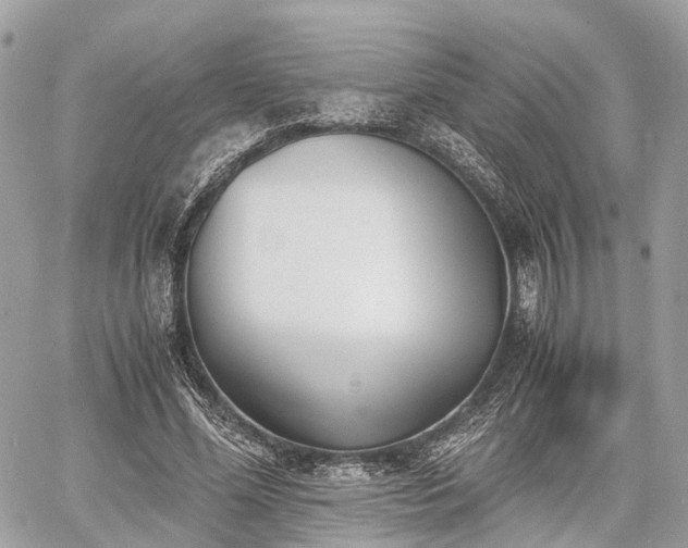 X0000060800588200511141442