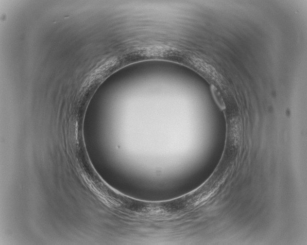 X0000060800589200511141442