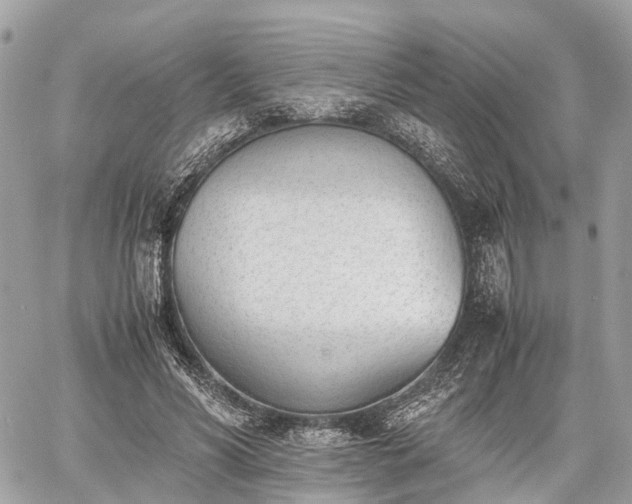 X0000060800590200511141442