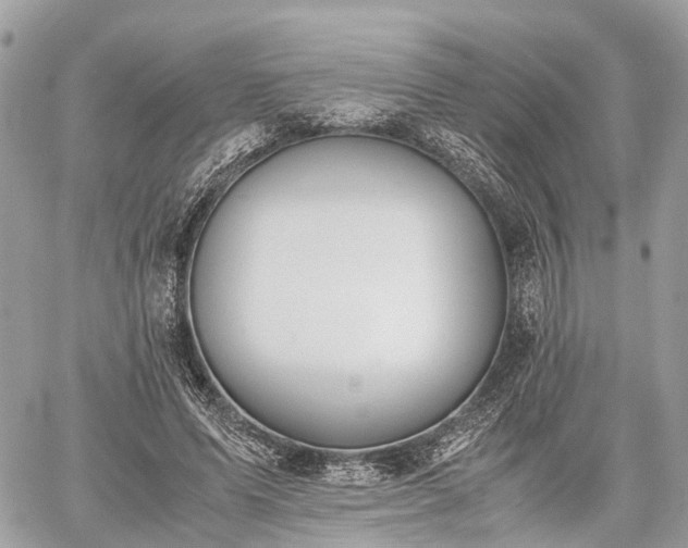 X0000060800591200511141442