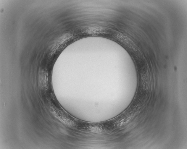 X0000060800592200511141442