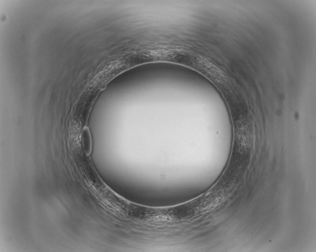 X0000060800593200511141442