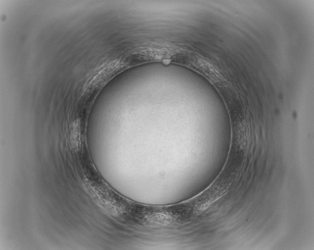 X0000060800594200511141442