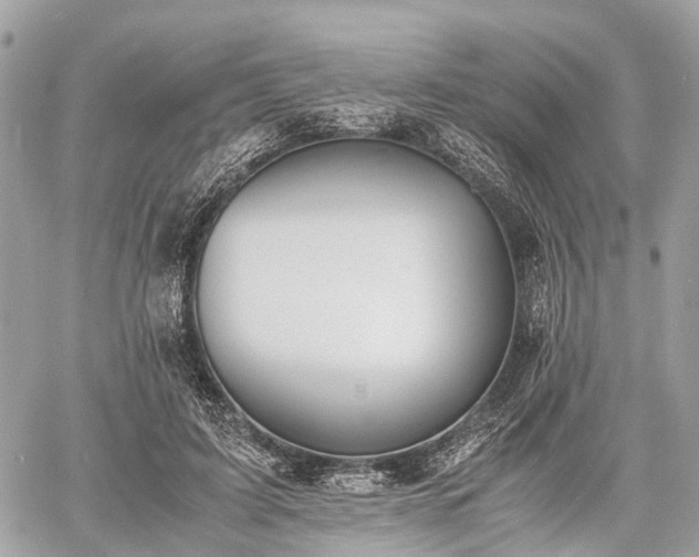 X0000060800595200511141442