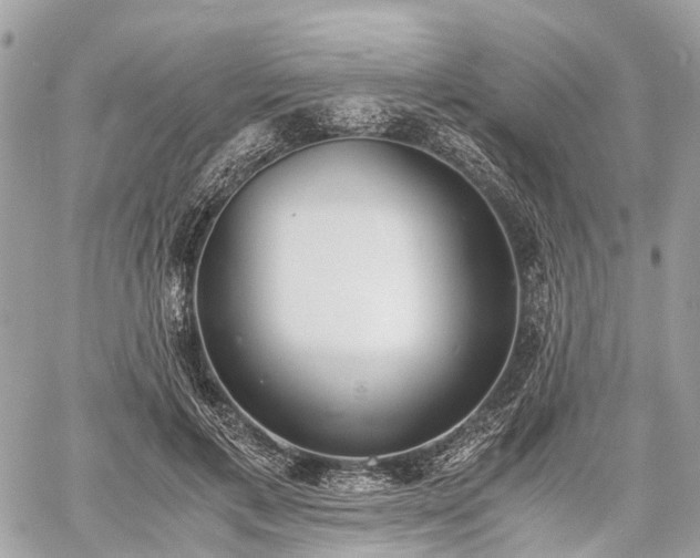 X0000060800597200511141442