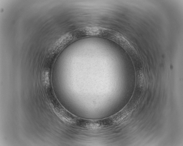 X0000060800598200511141442