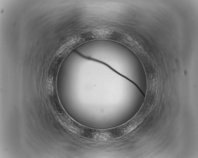 X0000060800599200511141442