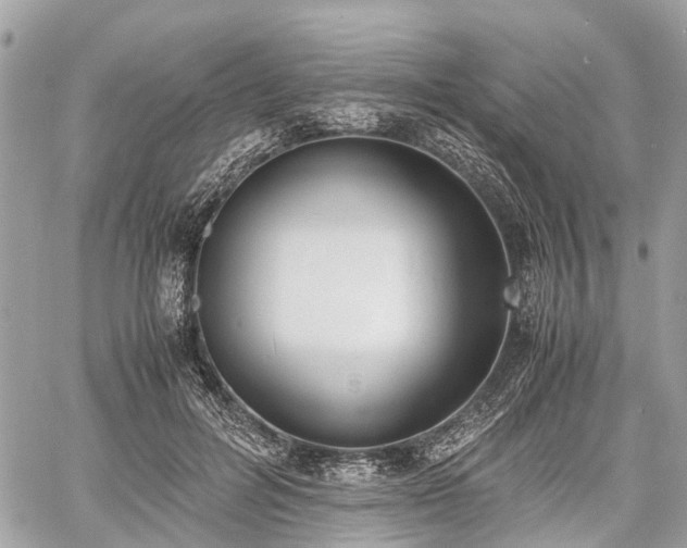 X0000060800600200511141442