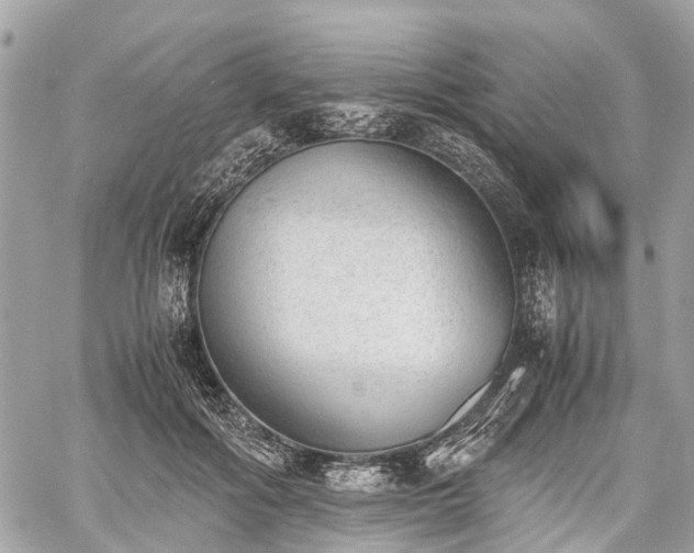 X0000060800602200511141442