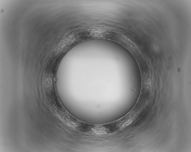 X0000060800603200511141442