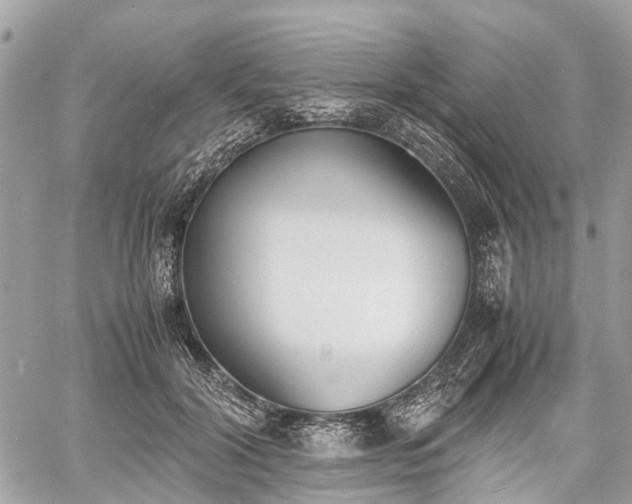 X0000060800604200511141442