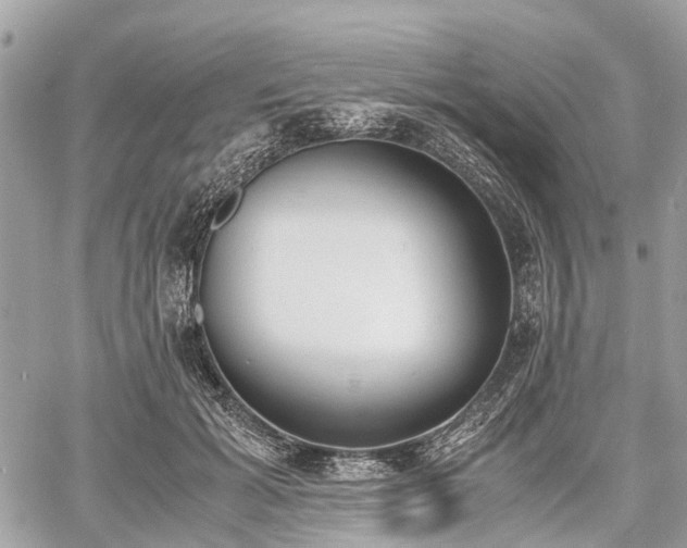 X0000060800605200511141442