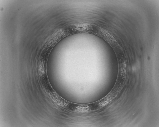 X0000060800606200511141442