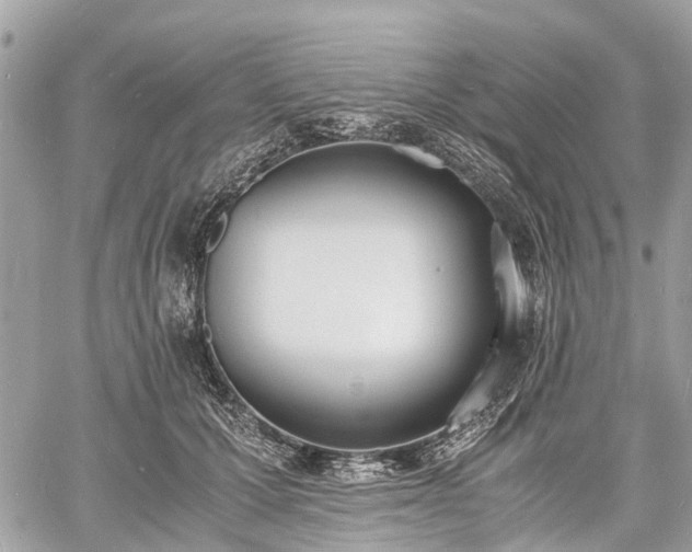 X0000060800607200511141442