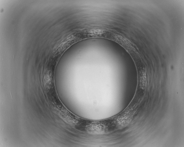 X0000060800608200511141442