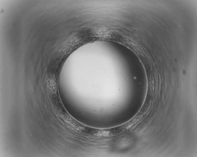 X0000060800609200511141442