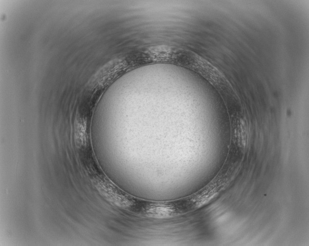 X0000060800610200511141442