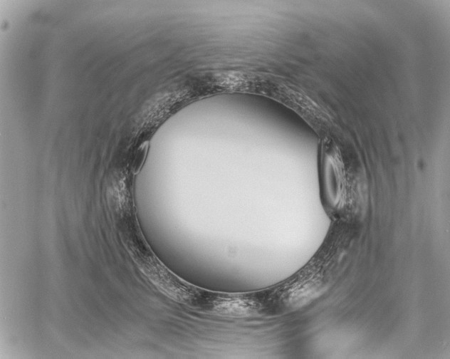 X0000060800611200511141442