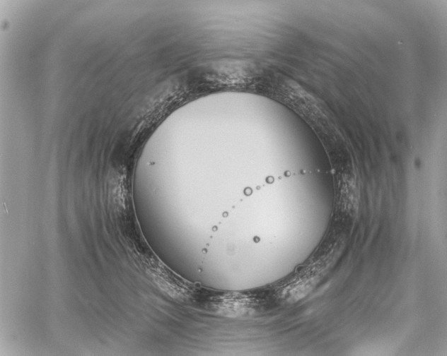 X0000060800612200511141441