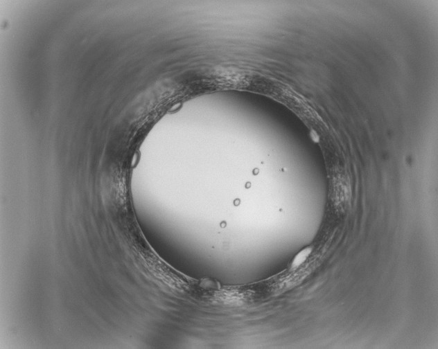 X0000060800613200511141441