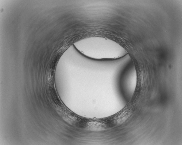 X0000060800614200511141441