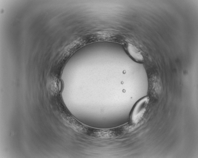 X0000060800615200511141441