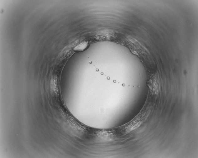 X0000060800616200511141441