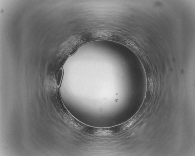 X0000060800617200511141441